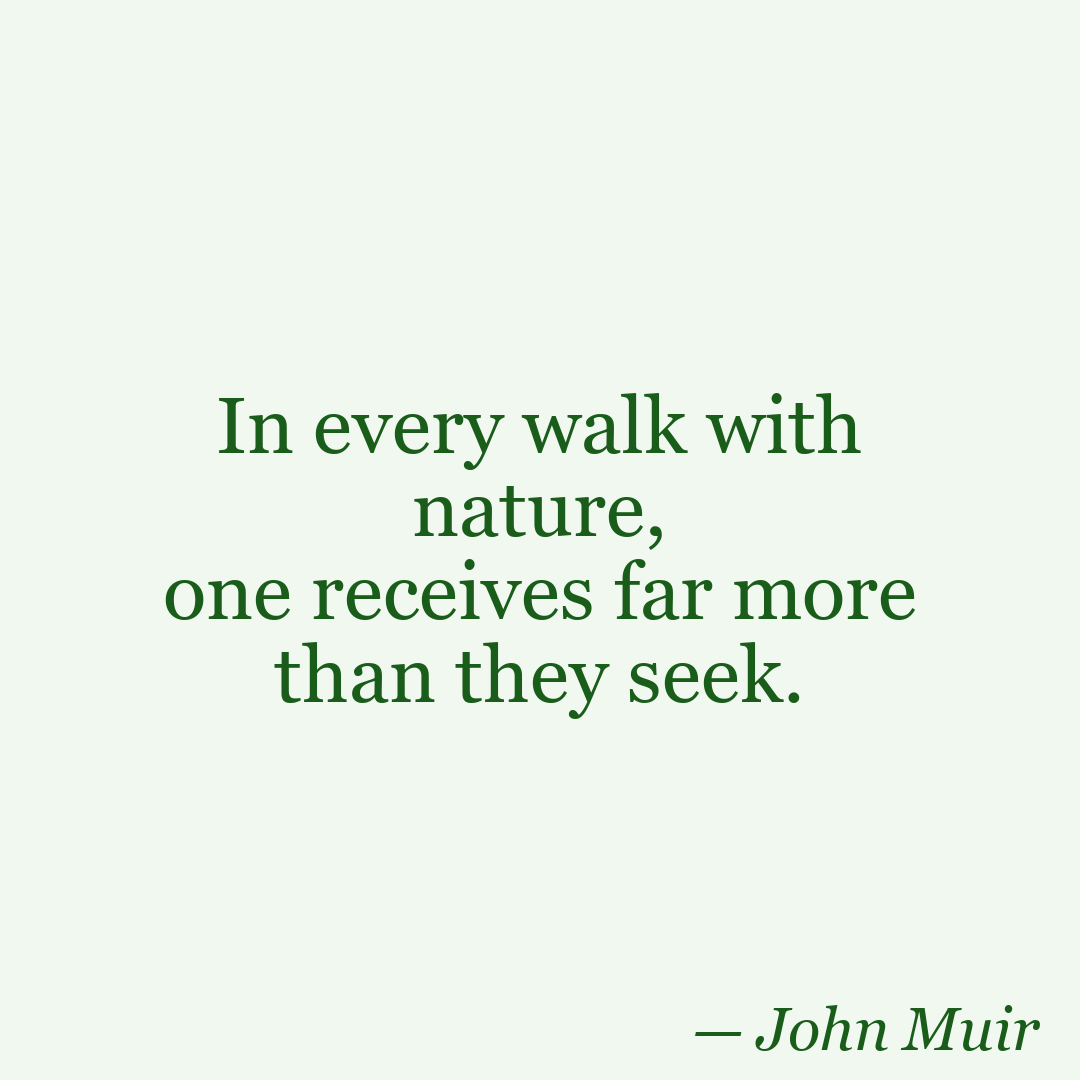 Forest Green Instagram quote template example
